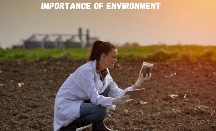 Importance of Environment